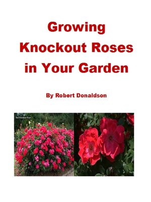 cover image of Growing Knockout Roses in Your Garden